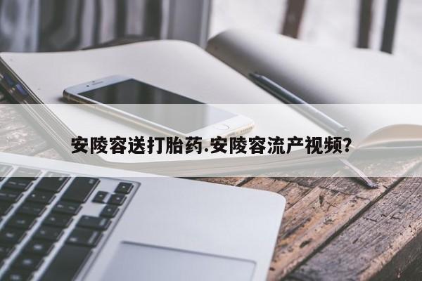药流药微信安陵容送打胎药.安陵容流产视频？