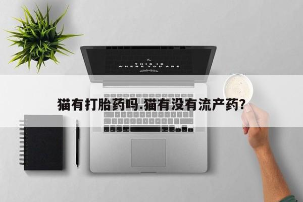 药流药微信猫有打胎药吗.猫有没有流产药？
